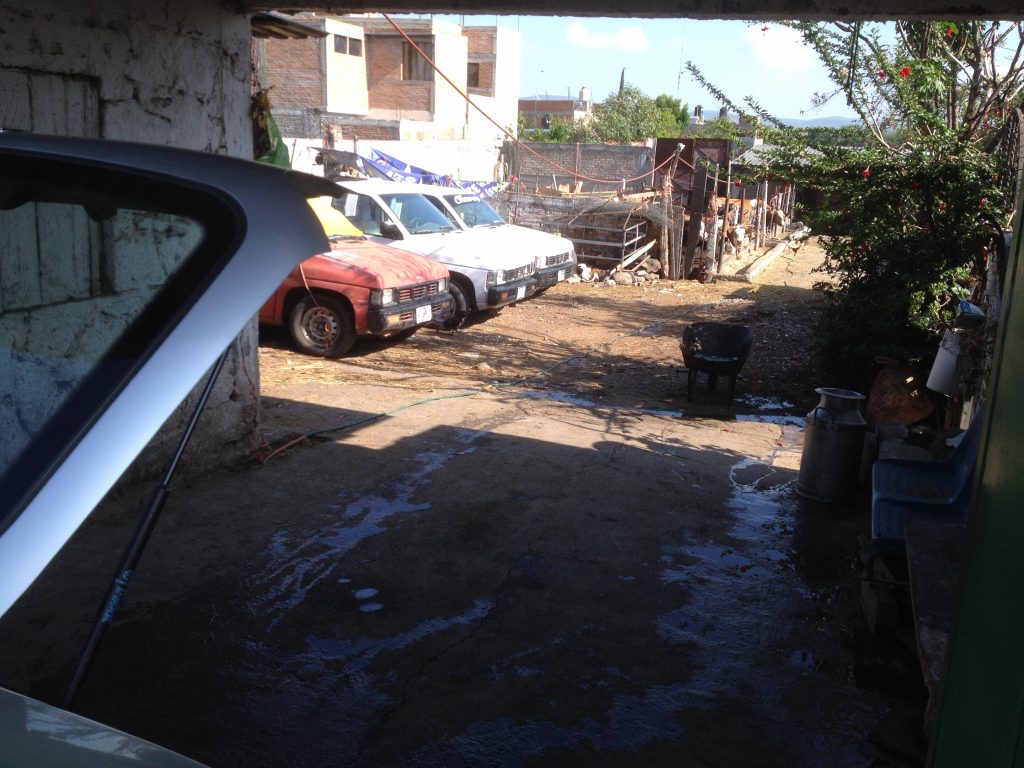 Cargando el estiércol